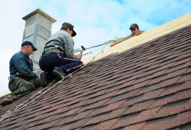 Best Metal Roofing Contractor  in Lincoln, NE