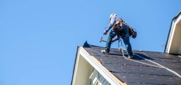 Roof Gutter Cleaning in Lincoln, NE